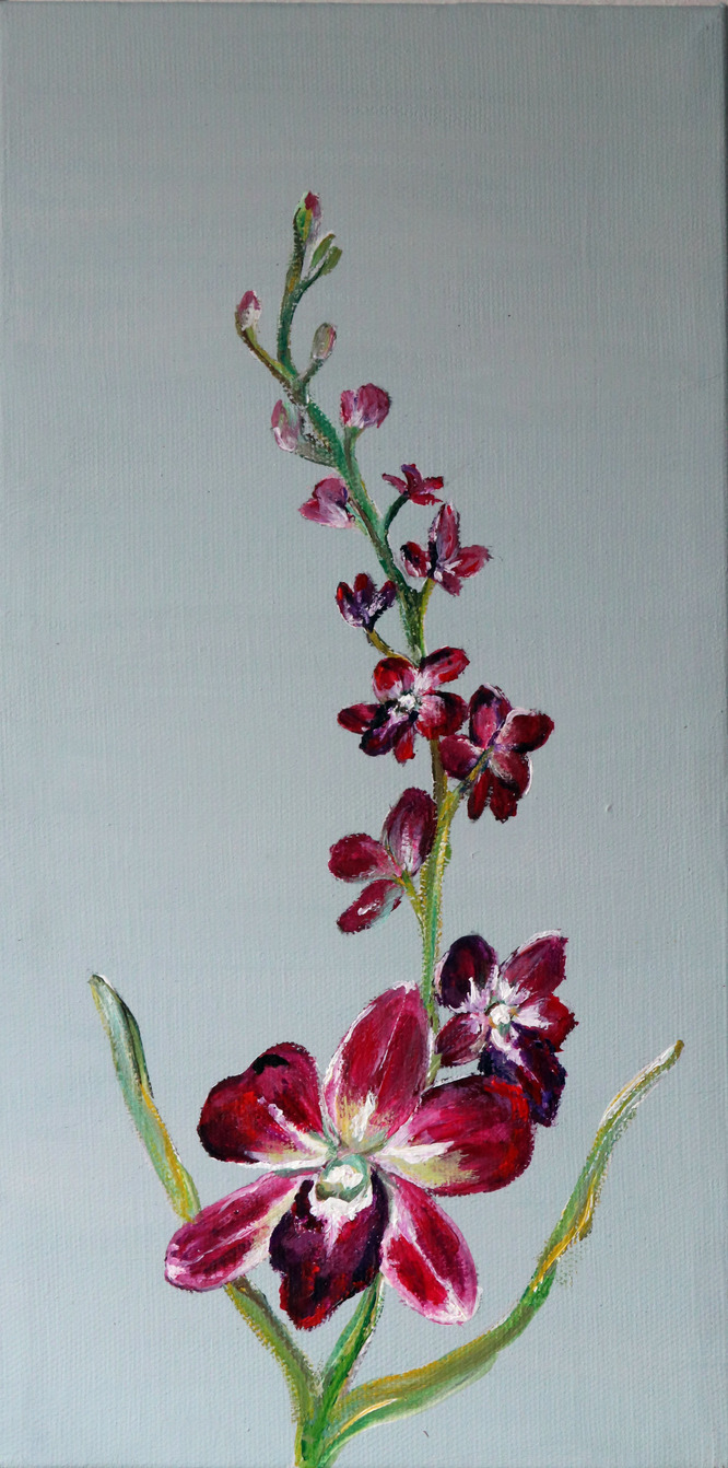 joan's orchids1.jpg